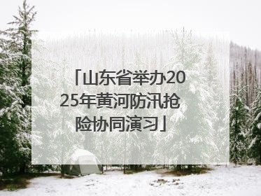 山东省举办2025年黄河防汛抢险协同演习