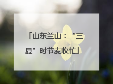 山东兰山：“三夏”时节麦收忙