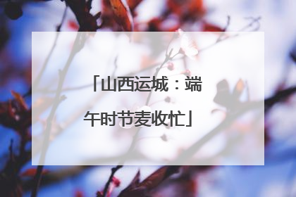 山西运城：端午时节麦收忙