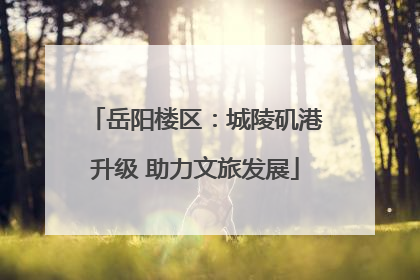 岳阳楼区：城陵矶港升级 助力文旅发展