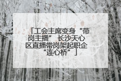 工会主席变身“带岗主播” 长沙天心区直播带岗架起职企“连心桥”