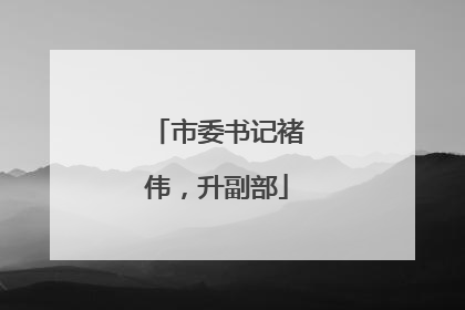 市委书记褚伟，升副部