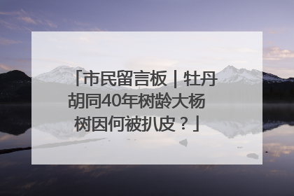 市民留言板｜牡丹胡同40年树龄大杨树因何被扒皮？