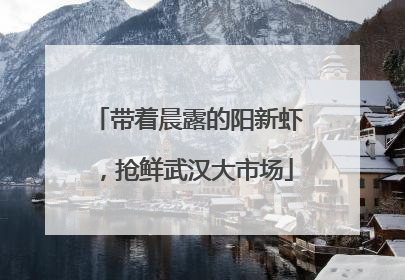 带着晨露的阳新虾，抢鲜武汉大市场
