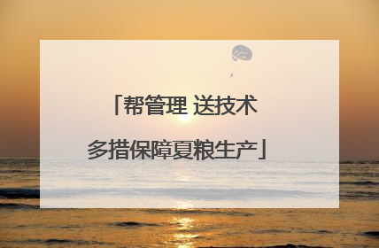 帮管理 送技术 多措保障夏粮生产