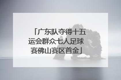 广东队夺得十五运会群众七人足球赛佛山赛区首金