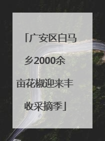 广安区白马乡2000余亩花椒迎来丰收采摘季
