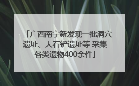 广西南宁新发现一批洞穴遗址、大石铲遗址等 采集各类遗物400余件