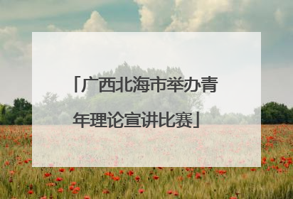 广西北海市举办青年理论宣讲比赛
