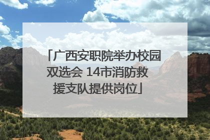 广西安职院举办校园双选会 14市消防救援支队提供岗位