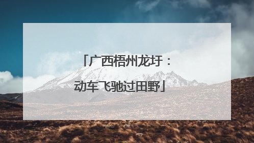广西梧州龙圩：动车飞驰过田野