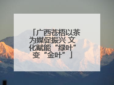 广西苍梧以茶为媒促振兴 文化赋能“绿叶”变“金叶”