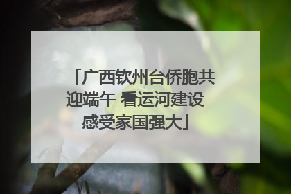 广西钦州台侨胞共迎端午 看运河建设感受家国强大