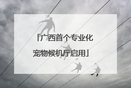 广西首个专业化宠物候机厅启用