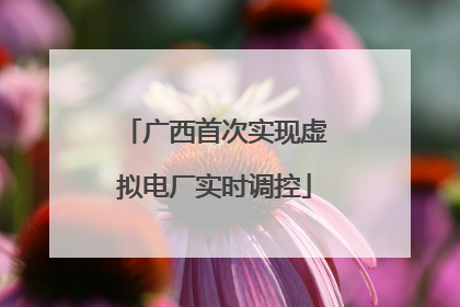 广西首次实现虚拟电厂实时调控