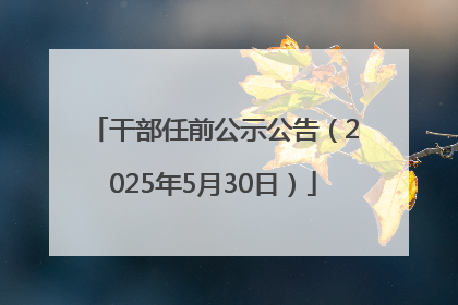 干部任前公示公告（2025年5月30日）