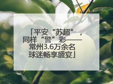平安“苏超”，同样“警”彩——常州3.6万余名球迷畅享盛宴