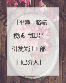平潭一骆驼瘦成“纸片”引发关注！部门已介入