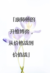 康师傅的升维博弈，从价格战到价值战