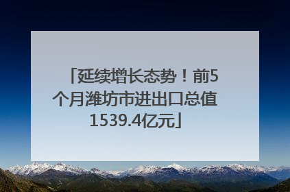 延续增长态势！前5个月潍坊市进出口总值1539.4亿元