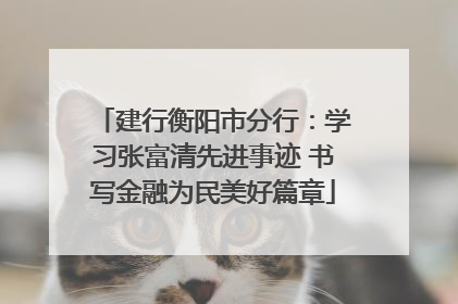 建行衡阳市分行：学习张富清先进事迹 书写金融为民美好篇章