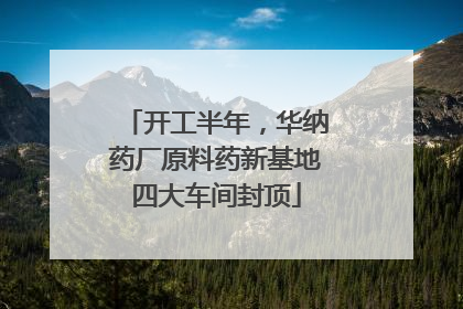 开工半年，华纳药厂原料药新基地四大车间封顶