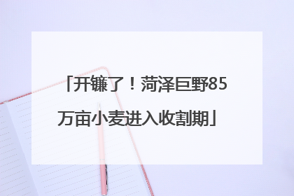 开镰了！菏泽巨野85万亩小麦进入收割期