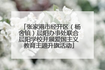 张家港市经开区（杨舍镇）晨阳办事处联合晨阳学校开展爱国主义教育主题升旗活动