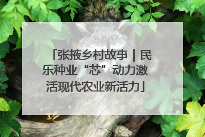 张掖乡村故事｜民乐种业“芯”动力激活现代农业新活力