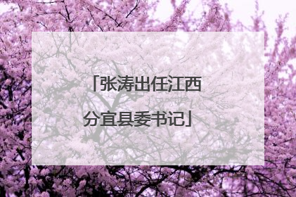 张涛出任江西分宜县委书记