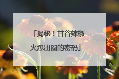 揭秘！甘谷辣椒火爆出圈的密码