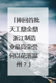捧回首批天工鼎金鼎 浙江制造业最高荣誉何以花落温州？