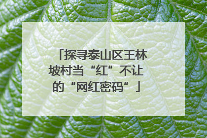 探寻泰山区王林坡村当“红”不让的“网红密码”