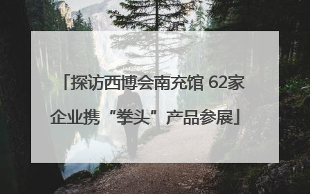探访西博会南充馆 62家企业携“拳头”产品参展