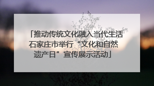 推动传统文化融入当代生活 石家庄市举行“文化和自然遗产日”宣传展示活动