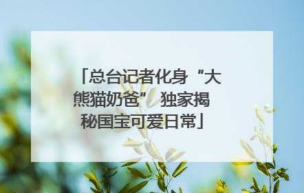 总台记者化身“大熊猫奶爸” 独家揭秘国宝可爱日常