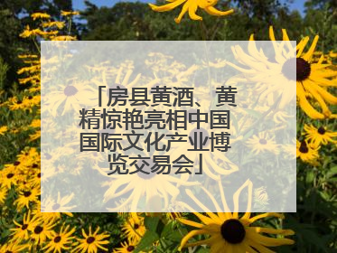 房县黄酒、黄精惊艳亮相中国国际文化产业博览交易会