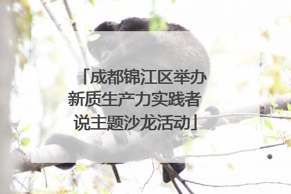 成都锦江区举办新质生产力实践者说主题沙龙活动