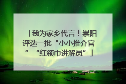 我为家乡代言！崇阳评选一批“小小推介官”“红领巾讲解员”