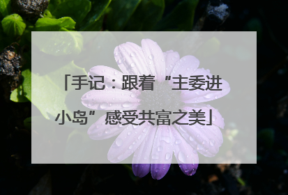 手记：跟着“主委进小岛”感受共富之美