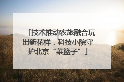 技术推动农旅融合玩出新花样，科技小院守护北京“菜篮子”