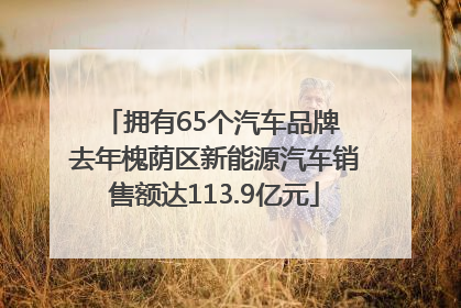 拥有65个汽车品牌 去年槐荫区新能源汽车销售额达113.9亿元