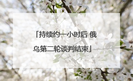 持续约一小时后 俄乌第二轮谈判结束