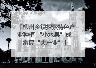 柳州乡镇探索特色产业种植 “小水果”成富民“大产业”