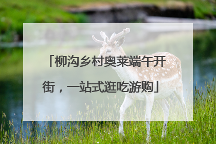 柳沟乡村奥莱端午开街，一站式逛吃游购