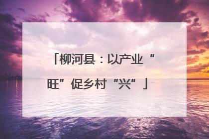 柳河县：以产业“旺”促乡村“兴”