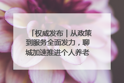 权威发布｜从政策到服务全面发力，聊城加速推进个人养老金制度落地