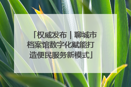 权威发布｜聊城市档案馆数字化赋能打造便民服务新模式