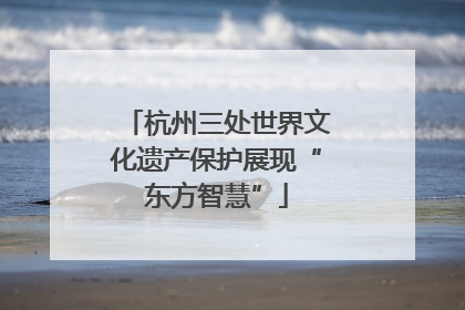 杭州三处世界文化遗产保护展现“东方智慧”