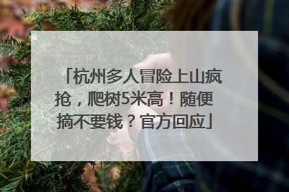 杭州多人冒险上山疯抢，爬树5米高！随便摘不要钱？官方回应